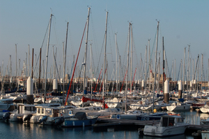 Traitement punaises de lit Le Havre